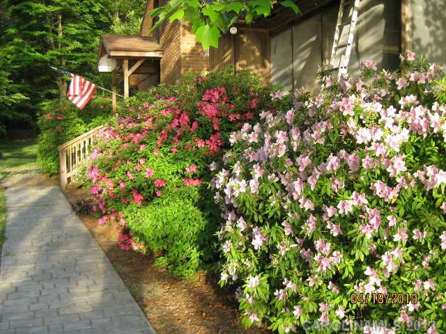 135  Misty Cove Lane Mooresville North Carolina 28117