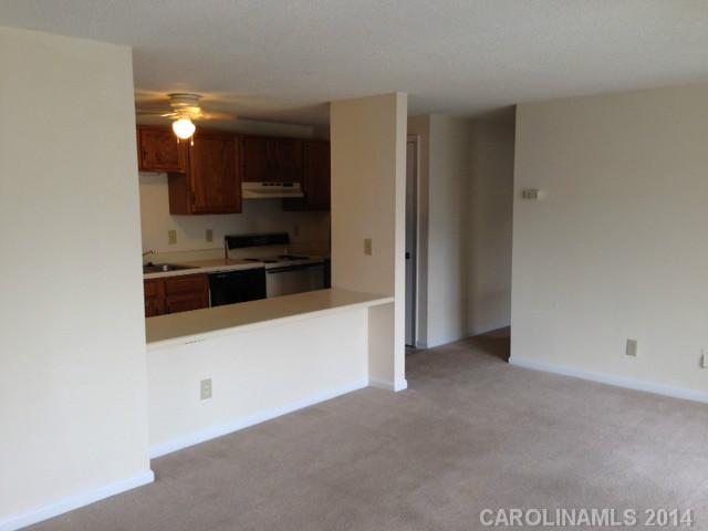 9501  Shannon Green Drive Charlotte North Carolina 28213