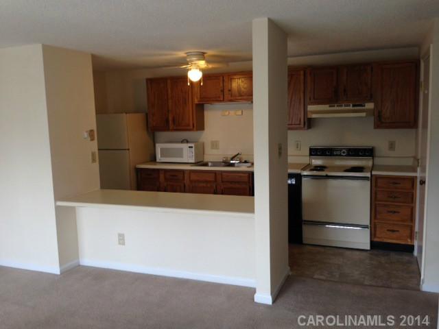 9501  Shannon Green Drive Charlotte North Carolina 28213