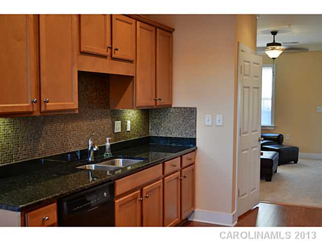 258  Harbour Place Drive Davidson North Carolina 28036