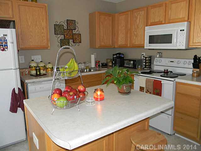 131  Delargy Circle Mooresville North Carolina 28117