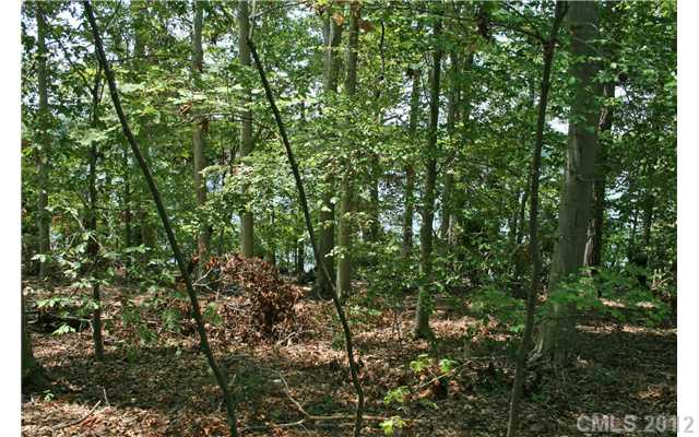 3021  Applewood Point Lane Belmont North Carolina 28012