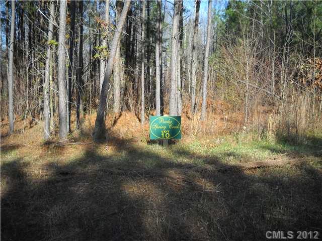 10  spring view Lane Troutman North Carolina 28166