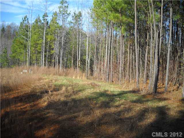 10  spring view Lane Troutman North Carolina 28166
