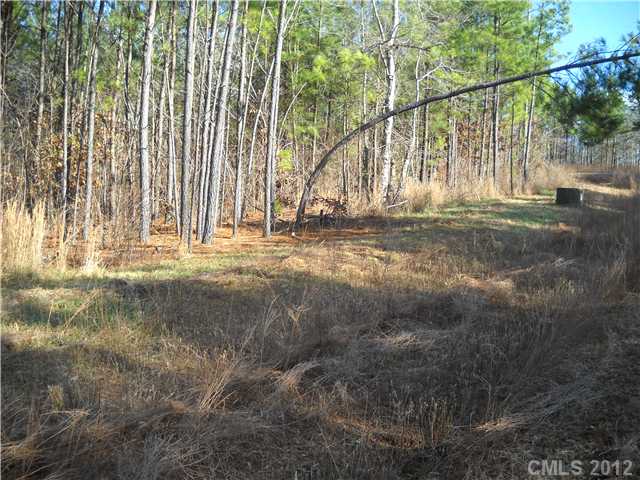10  spring view Lane Troutman North Carolina 28166