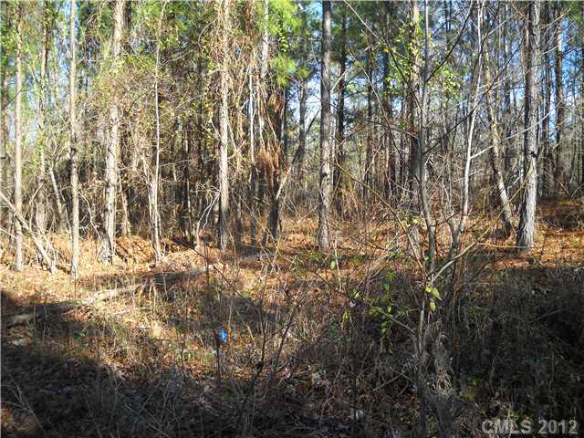 10  spring view Lane Troutman North Carolina 28166