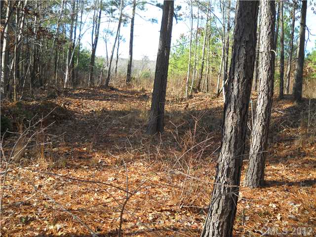 10  spring view Lane Troutman North Carolina 28166