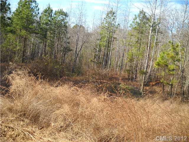 10  spring view Lane Troutman North Carolina 28166