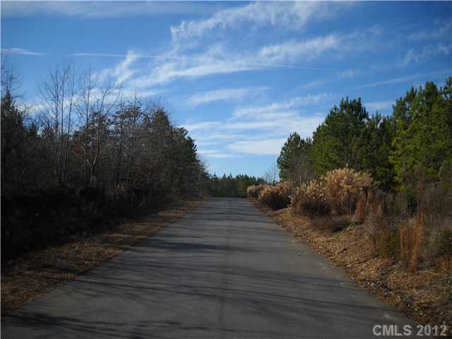 10  spring view Lane Troutman North Carolina 28166