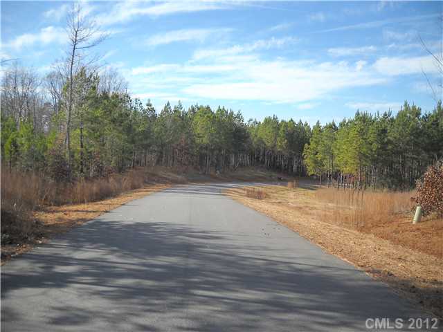 10  spring view Lane Troutman North Carolina 28166
