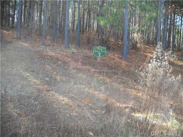 10  spring view Lane Troutman North Carolina 28166