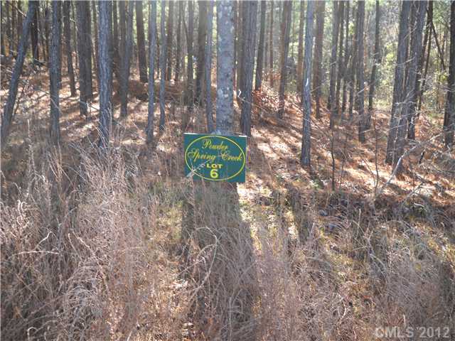 10  spring view Lane Troutman North Carolina 28166