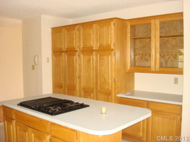 3517  Elaine Avenue Lincolnton North Carolina 28092