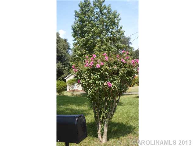 1804  Alpine Drive Kings Mountain North Carolina 28086