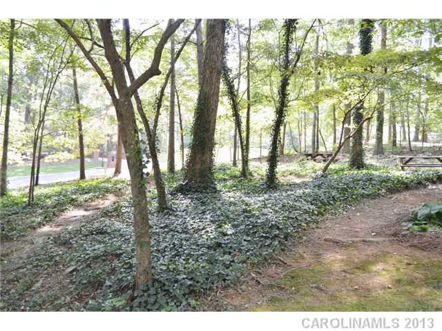 8223  Asheley Glen Drive Mint Hill North Carolina 28227