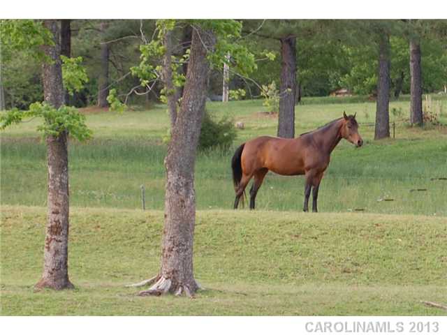 5087  Helms End Of Trail Lincolnton North Carolina 28092