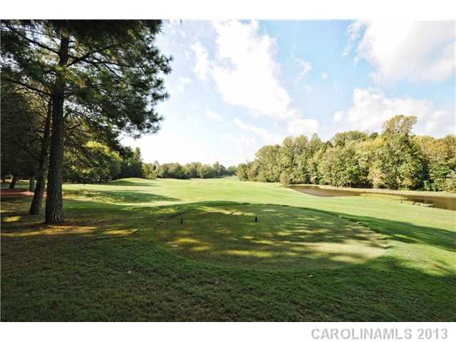 9710  Cockerham Lane Huntersville North Carolina 28078
