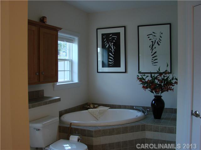 15835  Feeny Court Charlotte North Carolina 28278