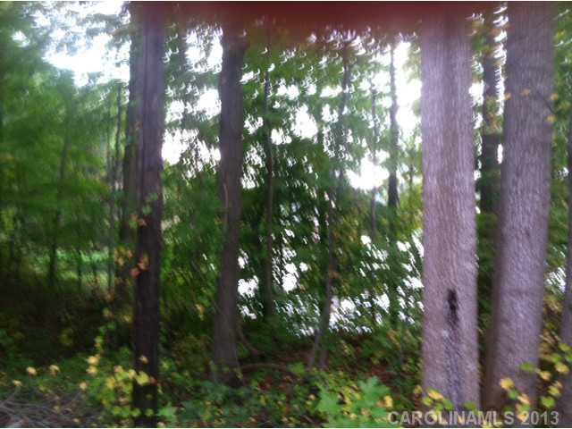 4114  Little Tree Lane Denver North Carolina 28037