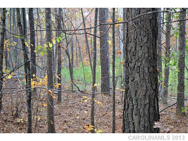 182  Timber Lake Drive Troutman North Carolina 28166