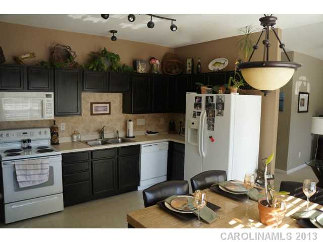 19506  Deer Valley Drive Cornelius North Carolina 28031