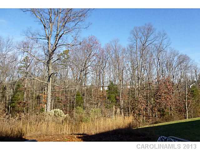 3215  Erwin Trace Drive Charlotte North Carolina 28213