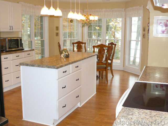 4488  Rippling Cove Court Denver North Carolina 28037