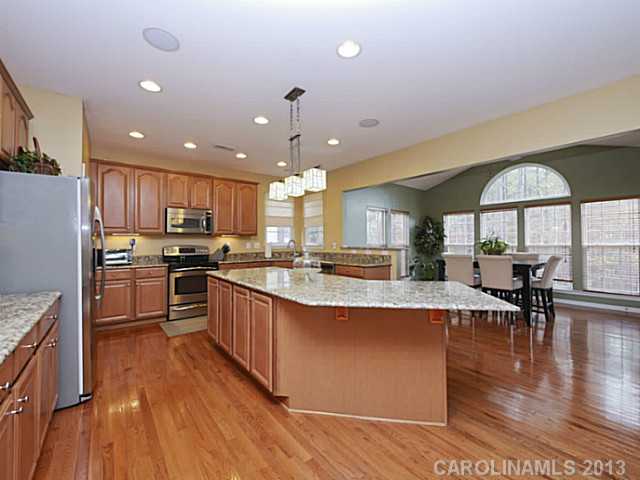 304  Woodward Ridge Drive Mount Holly North Carolina 28120