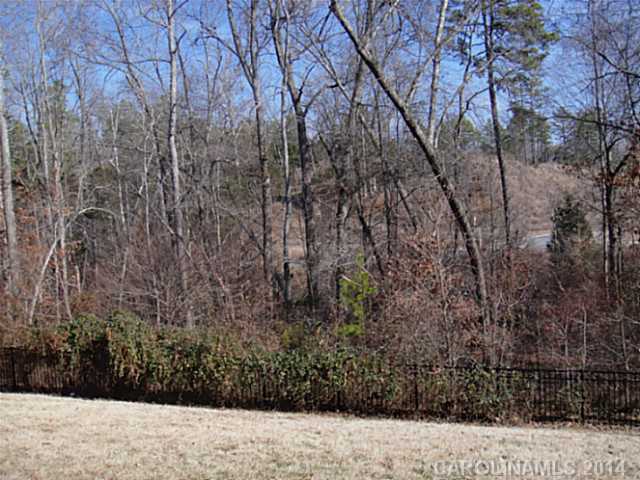 14010  Green Birch Drive Pineville North Carolina 28134