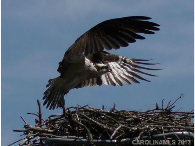 139  Shelbourne Place Mooresville North Carolina 28117