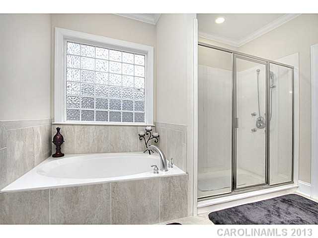 4719  Trey View Court Mint Hill North Carolina 28227