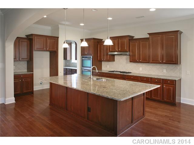 12820  Elkhorn Drive Charlotte North Carolina 28278