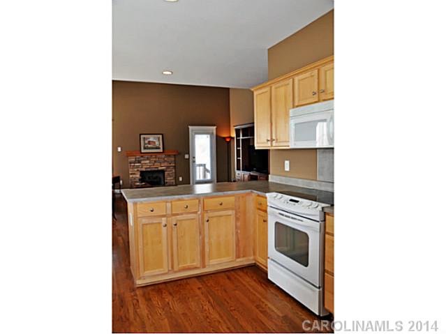3029  Parker Green Trail Charlotte North Carolina 28269