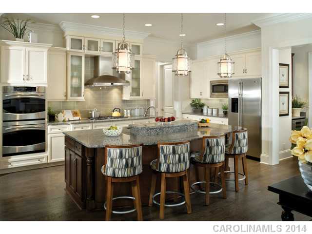17909  Golden Meadow Court Davidson North Carolina 28036
