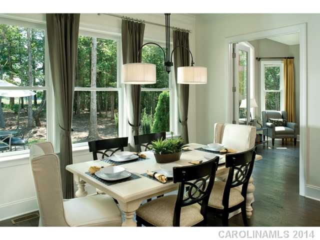 17909  Golden Meadow Court Davidson North Carolina 28036