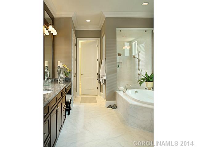 17909  Golden Meadow Court Davidson North Carolina 28036