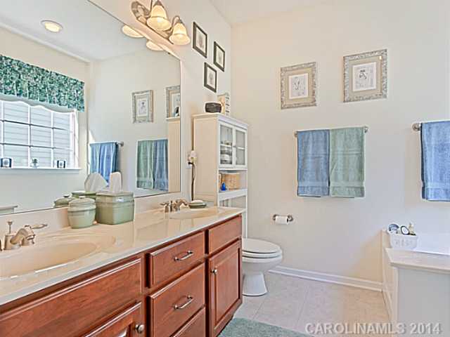 10305  Misty Moss Court Mint Hill North Carolina 28227