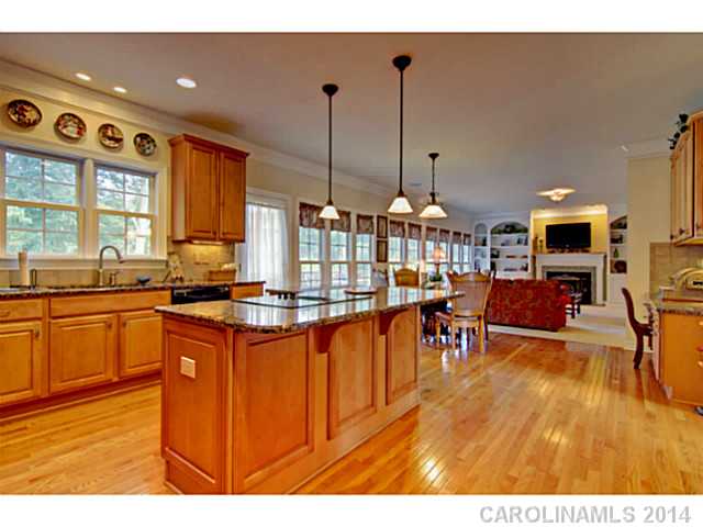 3934  Blue Dory Lane Denver North Carolina 28037