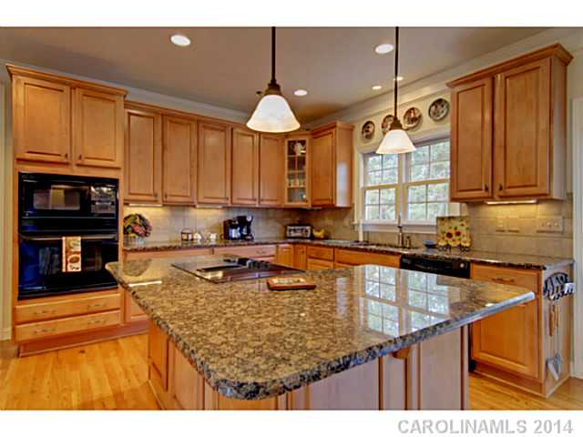 3934  Blue Dory Lane Denver North Carolina 28037