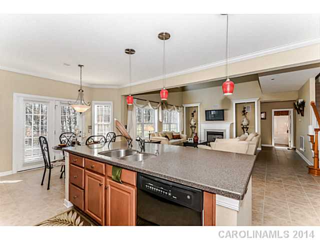 7730  Horseshoe Creek Drive Huntersville North Carolina 28078