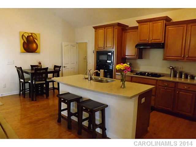 9802  Sky Vista Drive Huntersville North Carolina 28078