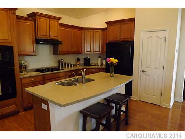 9802  Sky Vista Drive Huntersville North Carolina 28078